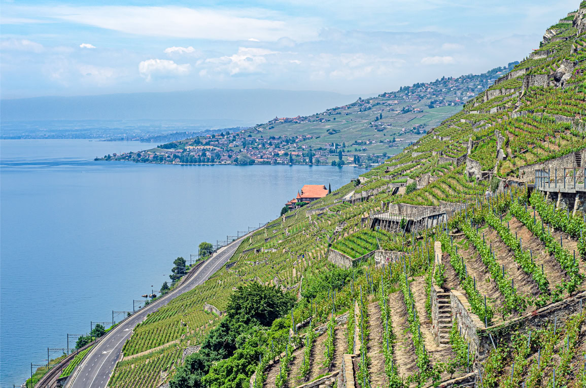 Hike the Vineyards